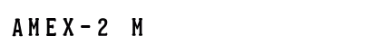 AMEX-2 Medium preview