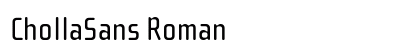 ChollaSans Roman preview