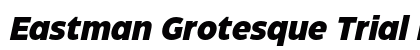 Eastman Grotesque Trial Extrabold Italic preview