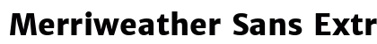 Merriweather Sans ExtraBold preview