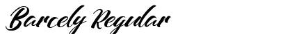 Barcely Regular preview