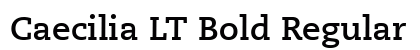 Caecilia LT Bold Regular Font Caecilia LT Bold Regular Font Preview