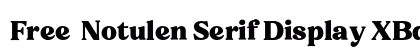 Free - Notulen Serif Display XBd Regular preview