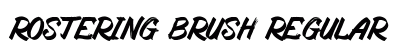 Rostering Brush Regular