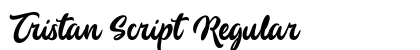 Tristan Script Regular Font Preview
