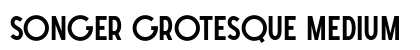 SONGER Grotesque Medium preview