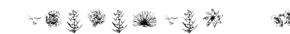 Tupiniquim  Flora Regular preview