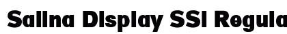 Salina Display SSi Regular Font Preview