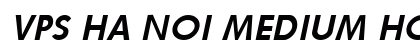 VPS Ha Noi Medium Hoa Bold Italic preview