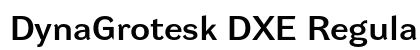 DynaGrotesk DXE Regular preview DynaGrotesk DXE Regular preview