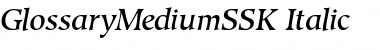 GlossaryMediumSSK Italic Font