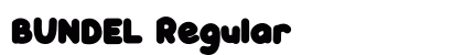 BUNDEL Regular preview