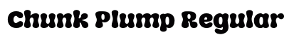 Chunk Plump Regular preview