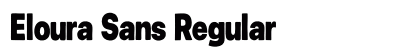 Eloura Sans Regular preview
