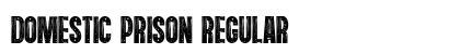 Domestic Prison Regular preview Domestic Prison Regular preview