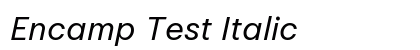 Encamp Test Italic preview