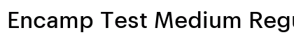 Encamp Test Medium Regular preview