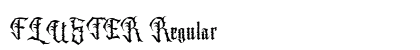 FLUSTER Regular preview