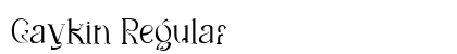 Gaykin Regular preview