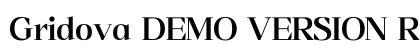 Gridova DEMO VERSION Regular Preview