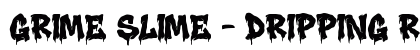 Grime Slime - Dripping Regular preview