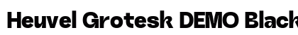 Heuvel Grotesk DEMO Black Regular preview Heuvel Grotesk DEMO Black Regular preview