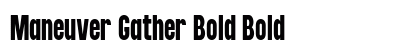 Maneuver Gather Bold Bold preview Maneuver Gather Bold Bold preview