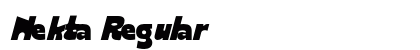 Nekta Regular preview