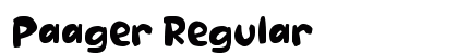 Paager Regular preview