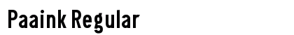 Paaink Regular preview