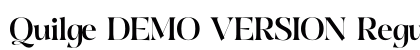 Quilge DEMO VERSION Regular preview Quilge DEMO VERSION Regular preview