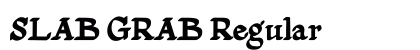 SLAB GRAB Regular preview SLAB GRAB Regular preview