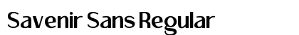 Savenir Sans Regular preview Savenir Sans Regular preview