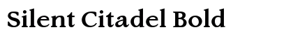 Silent Citadel Bold Preview