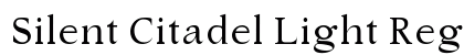 Silent Citadel Light Regular preview