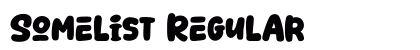 Somelist Regular preview