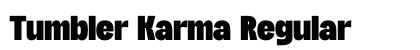 Tumbler Karma Regular preview