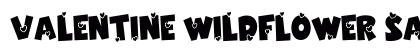 Valentine Wildflower Sans Demo Regular preview
