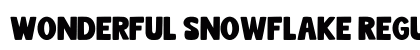 Wonderful Snowflake Regular preview