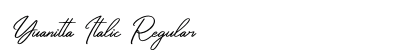 Yuanitta Italic Regular preview