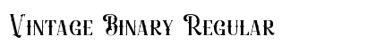 Vintage Binary Regular preview Vintage Binary Regular preview