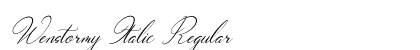 Wenstormy Italic Regular preview