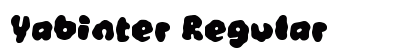Yabinter Regular preview