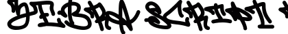 Zebra Script Regular