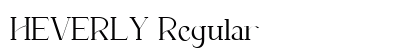 HEVERLY Regular preview