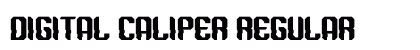 DIGITAL CALIPER Regular preview DIGITAL CALIPER Regular preview
