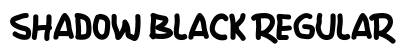 Shadow Black Regular preview