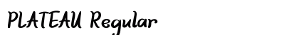 PLATEAU Regular preview