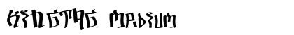 KINGTAG Medium