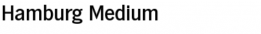 Download Hamburg-Medium Font